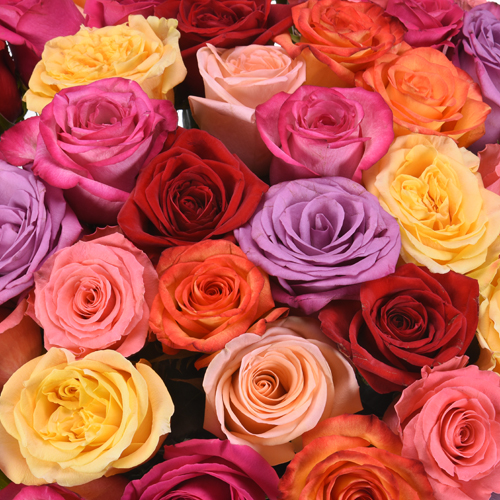 Mothers Day Flowers Wholesale Roses FiftyFlowers